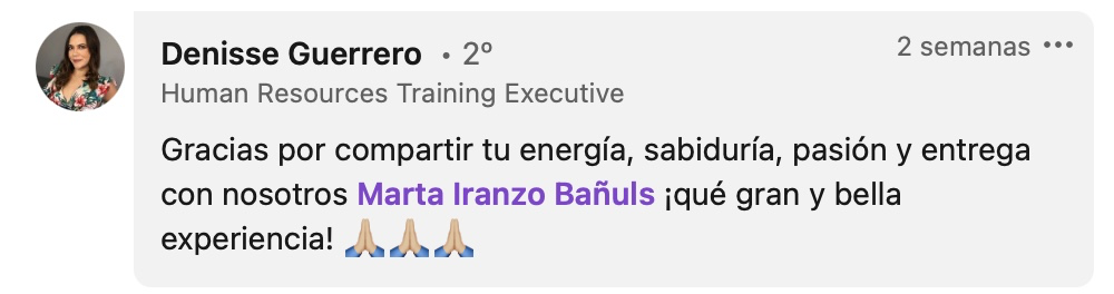 Recomendación de Denisse Guerrero, HR Training Executive